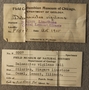 P8507_label