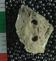 P8507_fossil