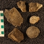 PE61312_fossil