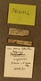 PE61316_label