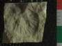 PE2793_fossil
