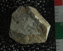 PE2796f_fossil
