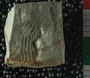 PE2798 fossil