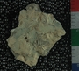 PE18659_fossil