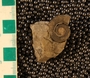 UC28055_fossil