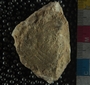 UC33619_fossil2