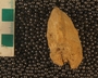 P11387_fossil_2