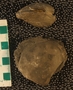 UC21873_fossil