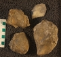 UC21881_fossil