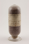 Panicum L., Red Millet, U.S.S.R., J. Turbin 371, F