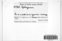 The complete conversion and digitization of the Field Museum's Bryophyte collection: Working towards a networking hub of bryophyte specimen and taxonomic data (Supported by NSF DBI-1057418)