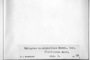 The complete conversion and digitization of the Field Museum's Bryophyte collection: Working towards a networking hub of bryophyte specimen and taxonomic data (Supported by NSF DBI-1057418)