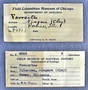 IMLS Silurian Reef digitization Project 2013, image of a label for Silurian corals from the Chicago area