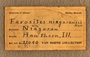 IMLS Silurian Reef digitization Project 2013, image of a label for Silurian corals from the Chicago area