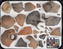 169812 clay (ceramic) vessel fragments (sherds)