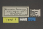 95221 Parnassius staudingeri T labels IN