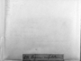 Ptychostomum creberrimum image
