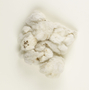 Gossypium L., Cotton, Ecuador, F