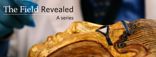 Header image from field museum series page on fieldmuseum.org