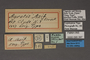 95397 Agrotis azif HT labels IN