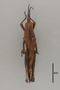 127017 Colpolopha sinuata d IN