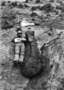 Expedition member (confirm if H. W. Menke)  lying down next to Brachiosaurus altithorax humerus Geology specimen P25107