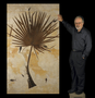 Palm Frond fossil