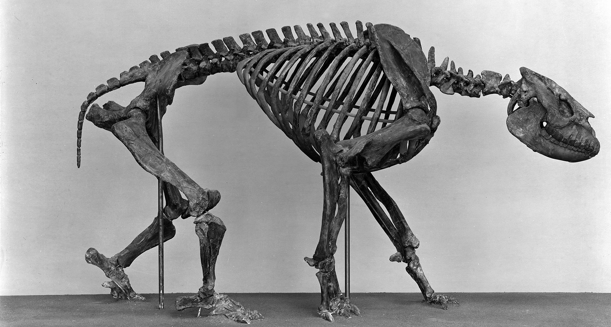 Media | Geology Collections