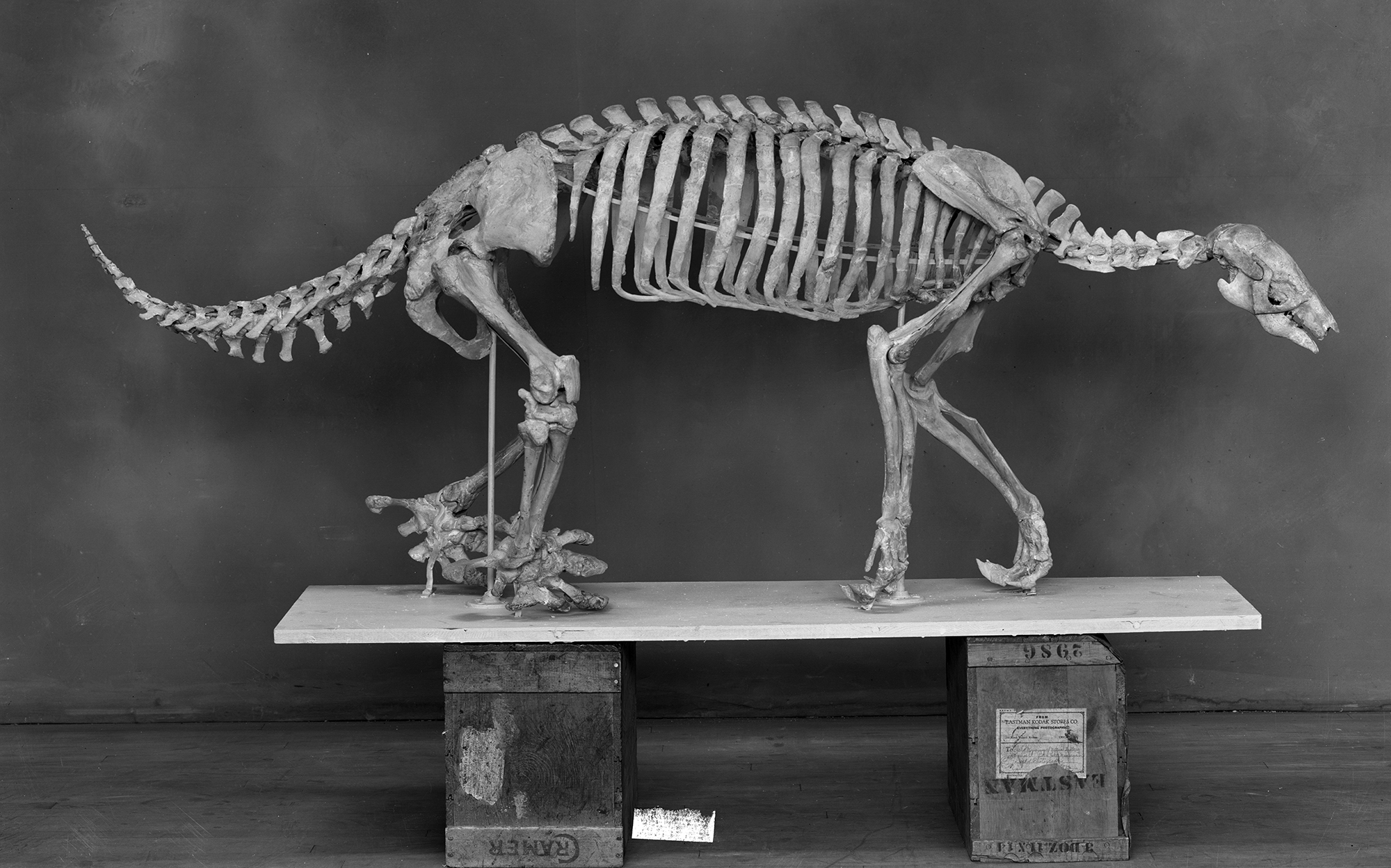 Media | Geology Collections