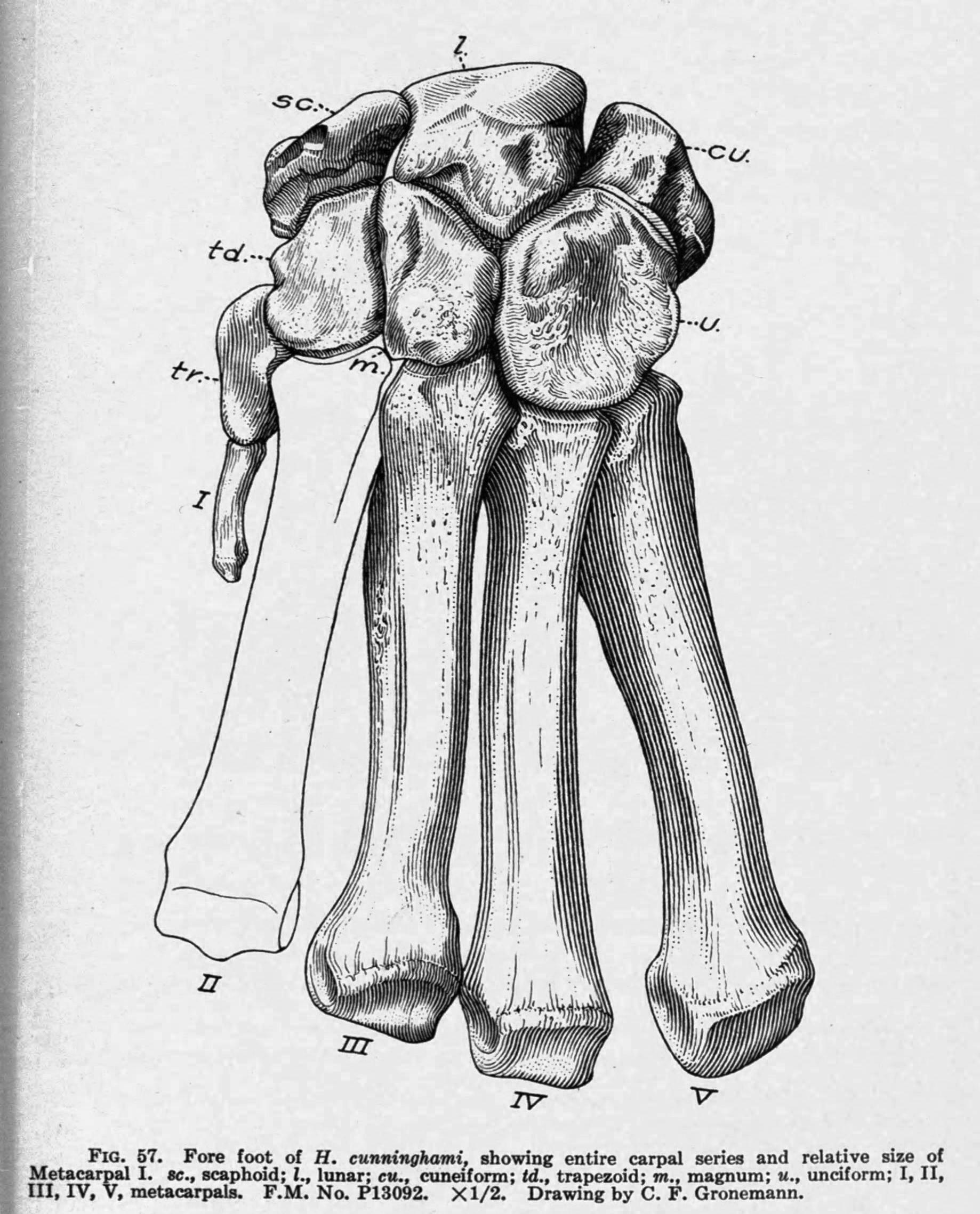 Media | Geology Collections