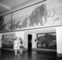 Lucy Knight, Rhoda Knight Kalt, and Melissa Kalt, daughter, granddaughter and great grand daughters of Charles Knight, visits Hall 38, underneath Mammoths and Cave Bear paintings by Knight. Titanotheres [Brontops] restorations by Frederick Blaschke in exhibit diorama case