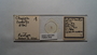28594 Chapinia fasciati PT slide IN