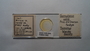 28694 Geomydoecus wardi PT slide IN