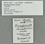 IMLS Silurian Reef digitization Project 2013, image of specimen label