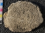 UC 22876