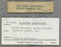 IMLS Silurian Reef digitization Project 2013, image of label