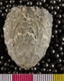 UC 21931