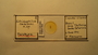 28865 Eutrichophilus emersoni PT slide IN