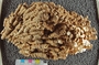 PE 76686