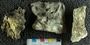 IMLS Silurian Reef digitization Project 2013, image of tabulate coral, specimen PE 61446