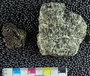 IMLS Silurian Reef digitization Project 2013, image of tabulate coral, specimen PE 61447