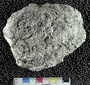PE 4269