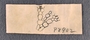 IMLS Silurian Reef Digitization Project, Image of Silurian crinoid label, specimen P 8902