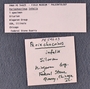 IMLS Silurian Reef Digitization Project, Image of Silurian crinoid label, specimen PE 54623