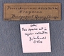 IMLS Silurian Reef Digitization Project, Image of Silurian crinoid label, specimen UC 18067