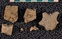 IMLS Silurian Reef Digitization Project, Image of Silurian crinoid fossil, specimen P 8486