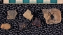 IMLS Silurian Reef Digitization Project, Image of Silurian crinoid fossil, specimen P 8898
