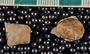 IMLS Silurian Reef Digitization Project, Image of Silurian crinoid fossil, specimen P 8902