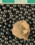 IMLS Silurian Reef Digitization Project, Image of Silurian crinoid fossil, specimen P 10569