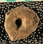 IMLS Silurian Reef Digitization Project, Image of Silurian crinoid fossil, specimen UC 10754